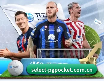 select-pgpocket.com.cn的故事