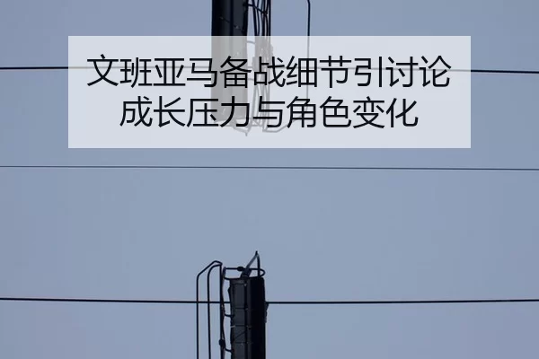 文班亚马备战细节引讨论 成长压力与角色变化